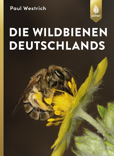 Wildbienen Deutschlands