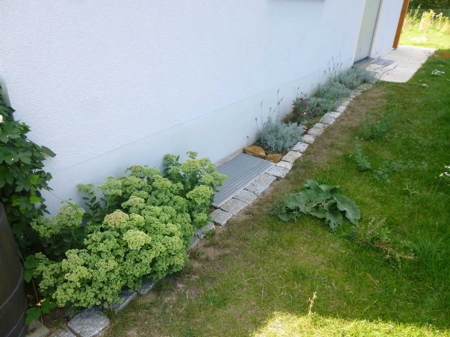 Spritzschutzstreifen am Haus bienenfreundlich und schön anzusehen