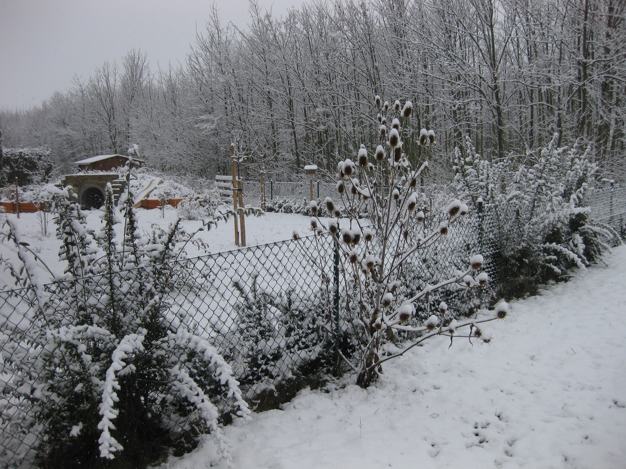 Winter im Garten